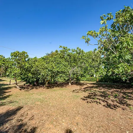 I Giardini Del Cavaliere